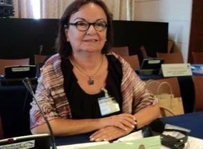 BDP'nin 'Anayasacı' profesörü KCK'dan gözaltında