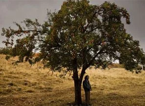 Ceylan'ın filmi oscar adayı!