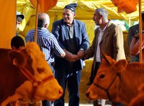 Kurbanlık alırken dikkat!