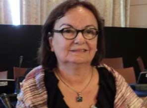Prof. Ersanlı: KDP gibi devlet kurabiliriz