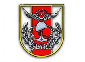 Sınır ötesine sınırlı harekat