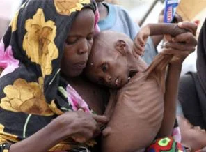 Somali'ye kurban kampanyası