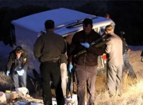 Van'da ele geçirilen silahlar kimin ?