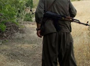 Aydıncık'ta 7 PKK'lı yakalandı