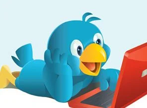 Bir 'tweet' yarım milyon dolara mal oldu