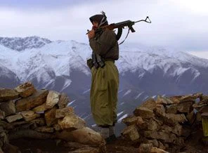 İşte Almanya'nın 2010 PKK raporu!