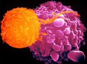 Kanserin geçmişi Antik Çağ'a uzanıyor