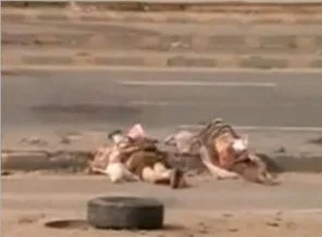 Suriye'de katliam devam ediyor: 22 ölü