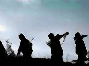 8 PKK'lı ölü ele geçirildi
