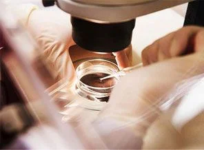ABD'nin yeni biyolojik silahı: H5N1
