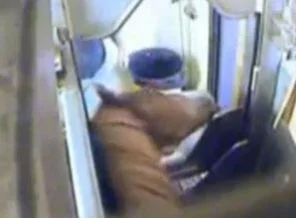 İnsanın kanını donduran şoklama işkenceleri (Video)