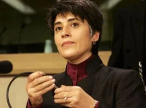 'Kürtlere artık özerklik de yetmez'