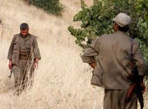 PKK'nın üst düzey yöneticisi yakalandı