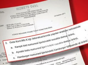 Raporla ortaya çıkan skandal