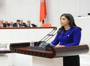 'Soykırım varsa bunun adı Türk soykırımıdır'