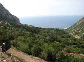 'Topraklarımızı saldırılara üs yaptırmayız'