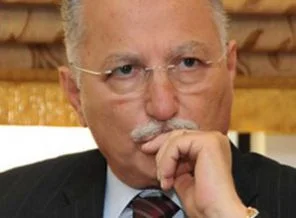 'Arap Baharı Diktatörlerin Sonbaharı'dır'