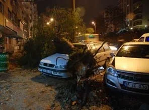 Fırtına ağaçları yerinden söktü