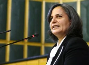 Kışanak: Üç paşayı güdemiyorsun