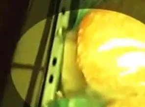 McDonald's'la ilgili skandal görüntüler