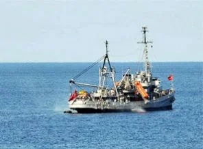 Şehit pilotun cesedine ulaşıldı