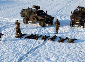 Şırnak'ta 7 PKK'lı teslim oldu