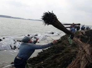Taşan nehrin suları Edirne'ye ulaştı