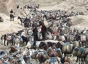 Van-İran sınırında 3 kaçakçıya ateş açıldı