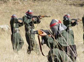 7 PKK'lı ölü ele geçirildi