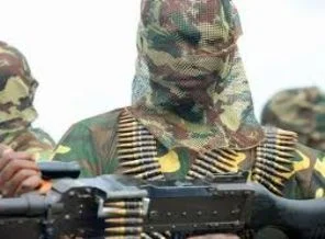 Boko Haram'dan rehine iddialarına yalanlama