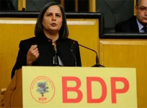 Kışanak'tan hükümete Uludere suçlaması