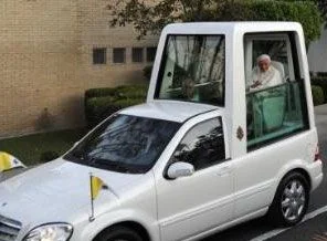 Papa'ya camdan koruma