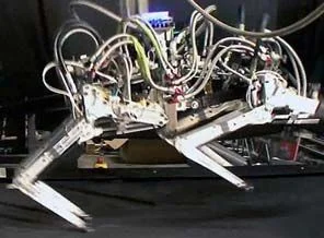 Robot Çita'dan hız rekoru (video)