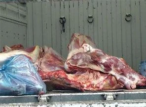 187 kilo kaçak et ele geçirildi