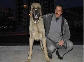 6 ay sonra gelen mutluluk