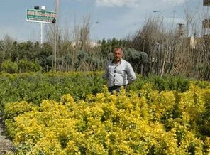 'Batmanlılar Yeşil Alana Önem Veriyor'