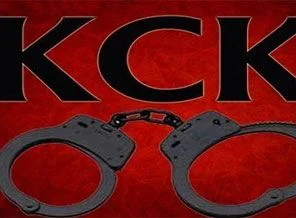 BDP'li il genel meclisi başkanı tutuklandı
