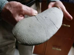 Bilim dünyası şokta