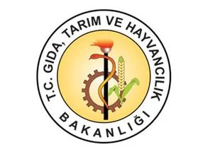 Çay üretiminde dünyada 5.yiz