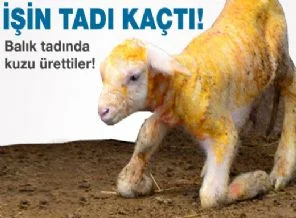 Çin bunu da yaptı!..