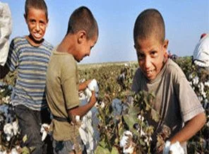 Çocuk işçiliğinde korkunç tablo