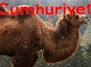 Cumhuriyet ne yapacağını şaşırdı