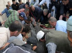 Edirne'de kuyuya düşen at güçlükle çıkarıldı