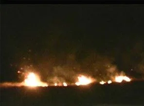 Erzincan'da 'kuş cenneti' yandı