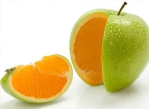 Gıdalar mercek altına alınacak