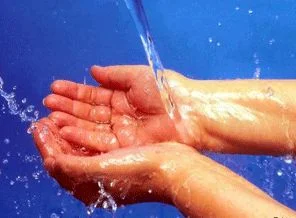 'Hayatın kaynağı'nda Türk-Alman işbirliği