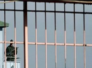 Kapılar açıldı, 15 bin mahkum çıkmaya başladı
