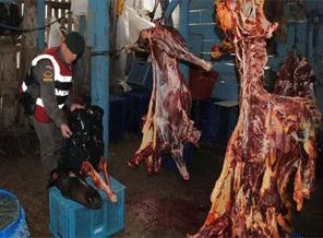 Kasaplara satmak için kestiği 3 atı parçalara ayırırken yakalandı