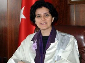 Kürtçe, üniversiteye girdi