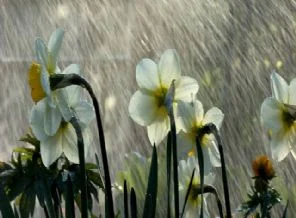 Meteoroloji'den sıcak uyarı